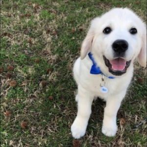 Meet your Posher, Emmy